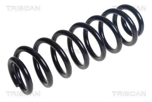 Ressort de suspension TRISCAN 8750 29525