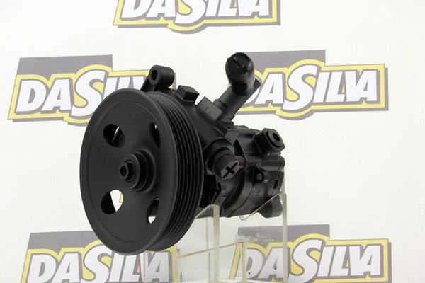 Pompe hydraulique, direction DA SILVA DP3183