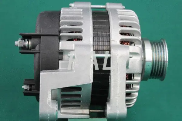 Alternateur FAL Anlasser- und Lichtmaschinenservice F000529/1