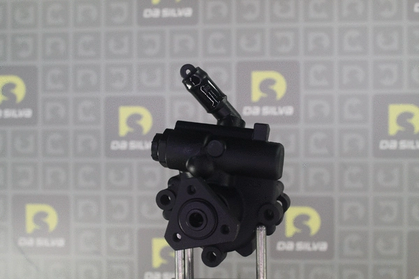 Pompe hydraulique, direction DA SILVA DP3616