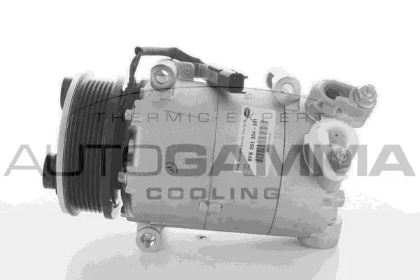 Compresseur, climatisation AUTOGAMMA 108668