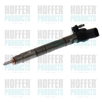 Injecteur HOFFER H74295R