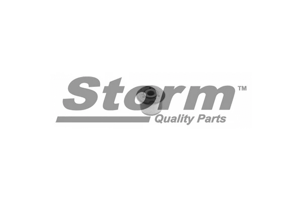 Suspension, bras de liaison STORM QUALITY PARTS F1070