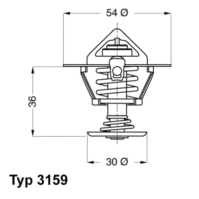Thermostat, liquide de refroidissement BorgWarner (Wahler) 3159.82D
