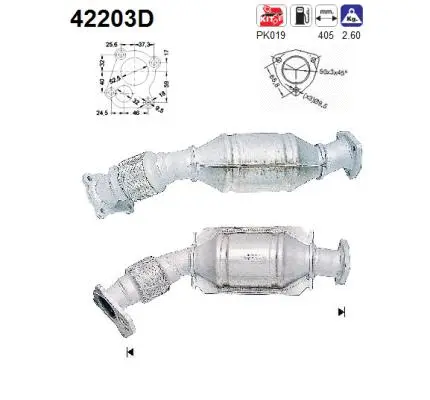 Catalyseur AS 42203D