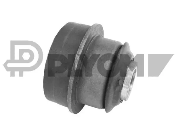 Suspension, corps de l'essieu PLYOM P775426