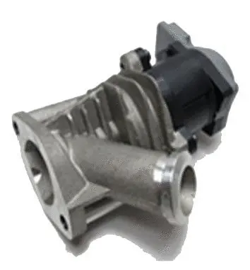 Vanne EGR ASSO 70.0072