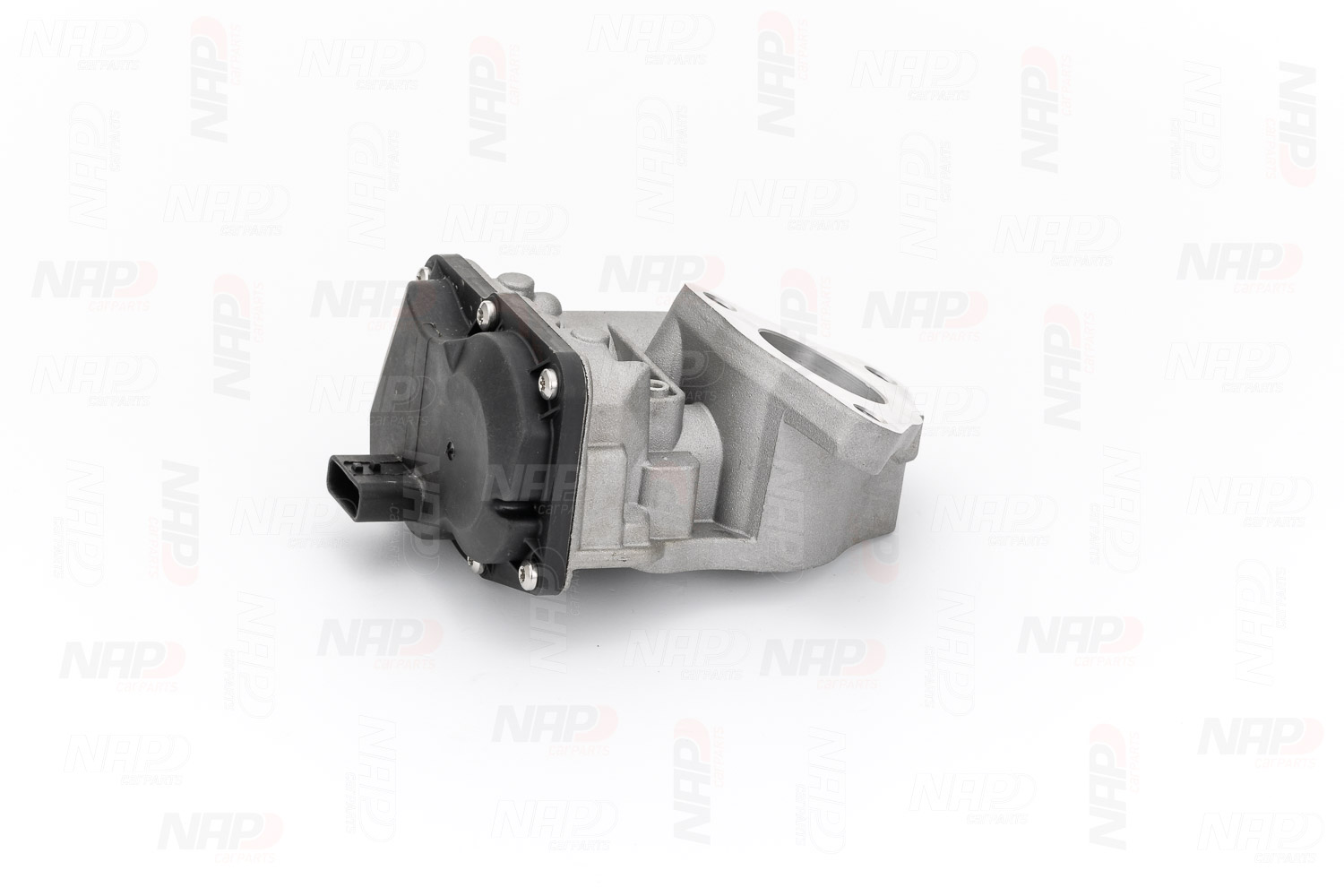 Vanne EGR NAP carPARTS GmbH CAV10179