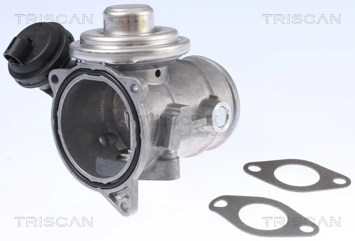 Vanne EGR TRISCAN 8813 29341