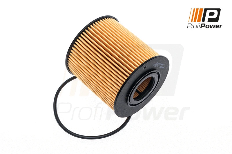 Filtre à huile ProfiPower 1F0070