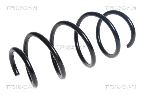 Ressort de suspension TRISCAN 8750 24202