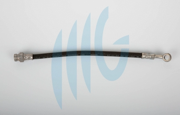 Flexible de frein RICAMBIFLEX GM 02190018