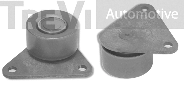 Poulie renvoi/transmission, courroie crantée TREVI AUTOMOTIVE TD1160