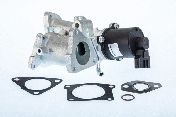 Vanne EGR BorgWarner 710966R