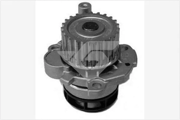 Pompe à eau, refroidissement du moteur HUTCHINSON WP135