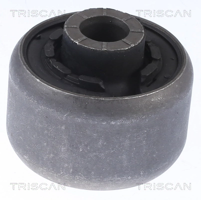 Suspension, bras de liaison TRISCAN 8500 16877
