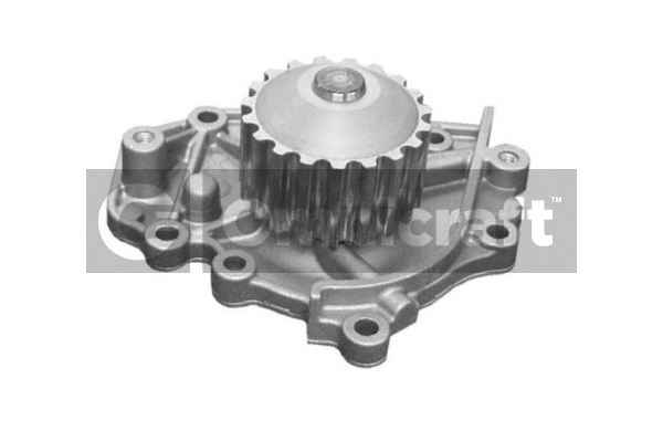 Pompe à eau, refroidissement du moteur Omnicraft 2317324