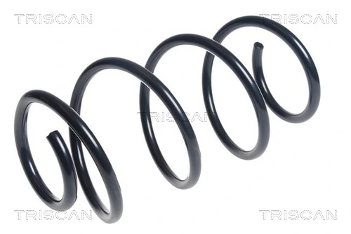 Ressort de suspension TRISCAN 8750 43106