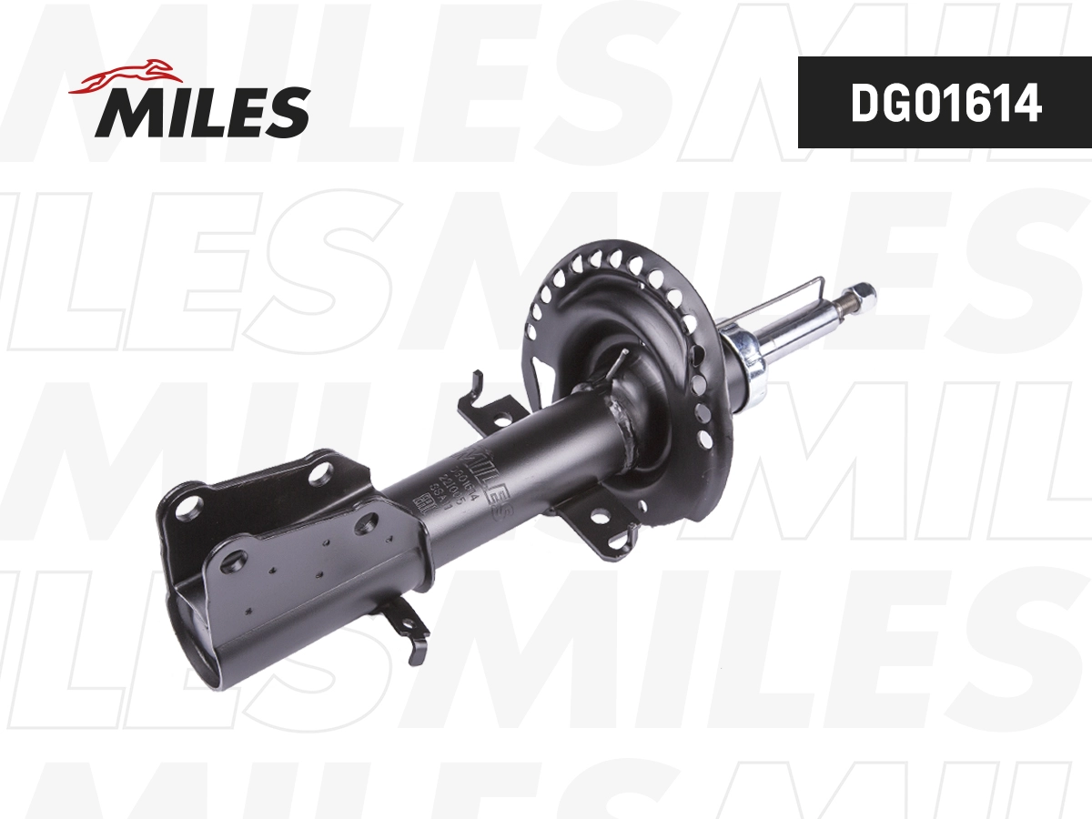 Amortisseur MILES DG01614