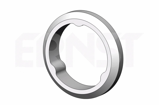 Bague d'étanchéité, tuyau d'échappement ERNST 498692