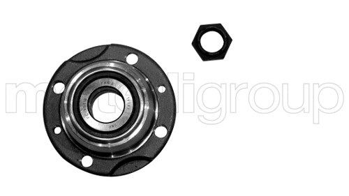 Kit de roulements de roue CIFAM 619-2989