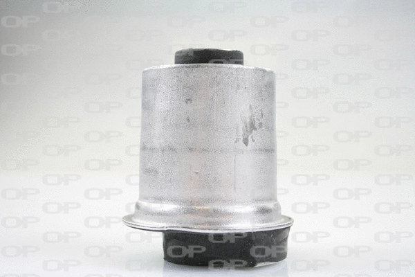 Suspension, corps de l'essieu OPEN PARTS SSS1102.11
