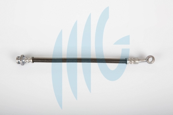 Flexible de frein RICAMBIFLEX GM 02520948