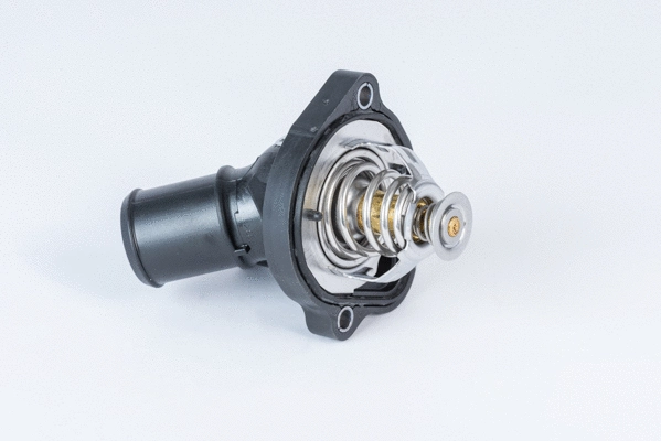 Thermostat, liquide de refroidissement BorgWarner (Wahler) 411886.82D