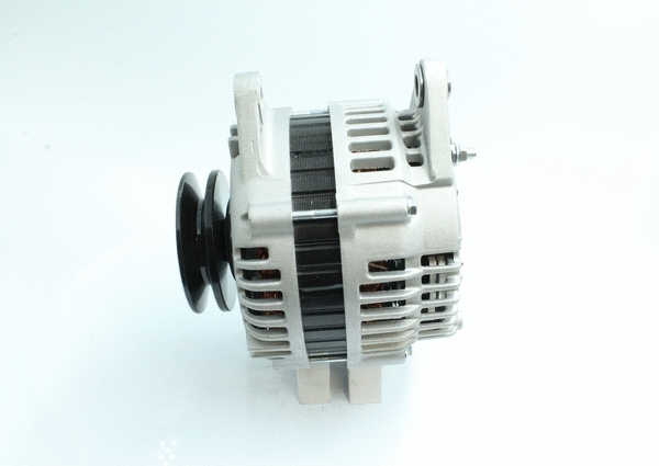 Alternateur PowerMax 89212317