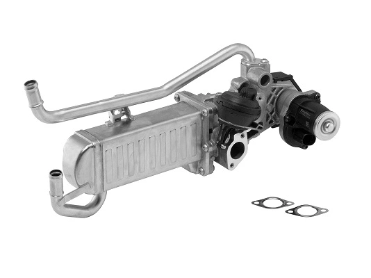Module-EGR BorgWarner 710863D