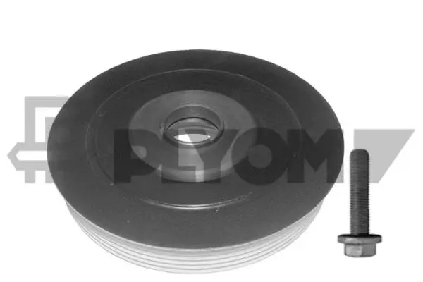 Kit de poulies, vilebrequin PLYOM P752348