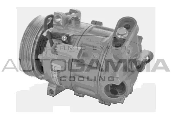 Compresseur, climatisation AUTOGAMMA 118682