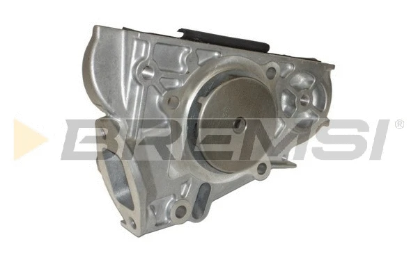Pompe à eau, refroidissement du moteur BREMSI WP0067