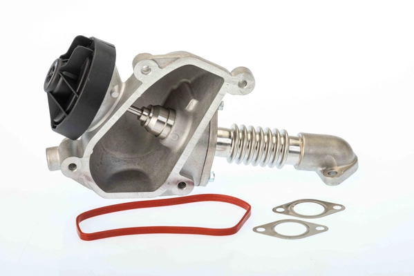 Vanne EGR BorgWarner 7206D