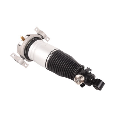Amortisseur BAPMIC BACB13-588004