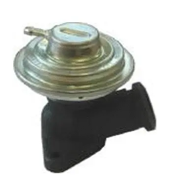 Vanne EGR ASSO 70.0155