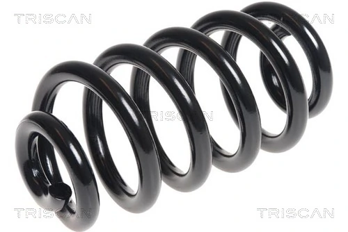 Ressort de suspension TRISCAN 8750 29354