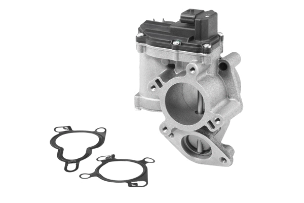Vanne EGR BorgWarner 710945R