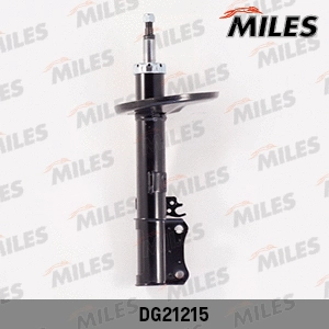 Amortisseur MILES DG21215