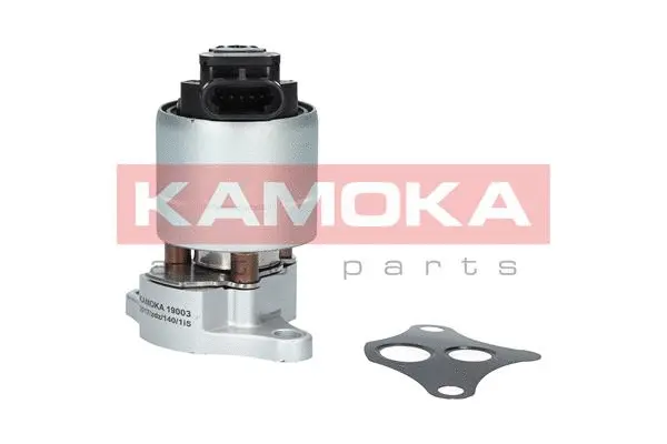 Vanne EGR KAMOKA 19003
