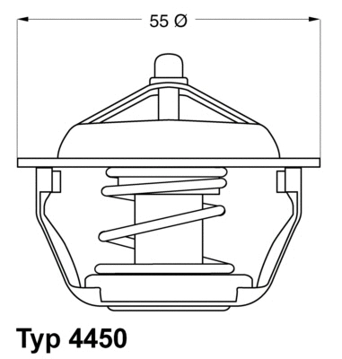 Thermostat, liquide de refroidissement BorgWarner (Wahler) 4450.83D