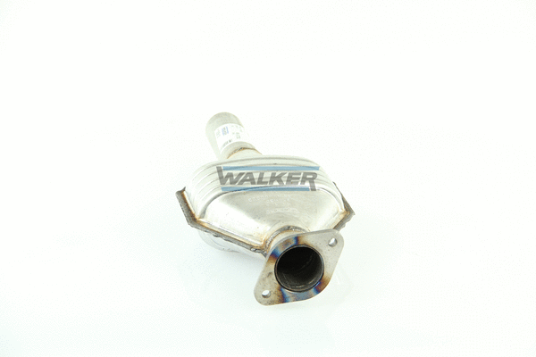 Catalyseur WALKER 20613