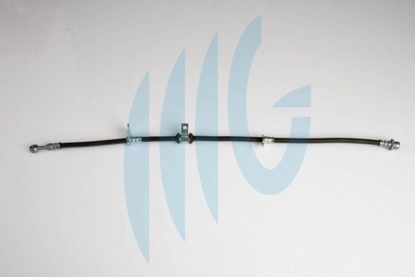 Flexible de frein RICAMBIFLEX GM 02180825