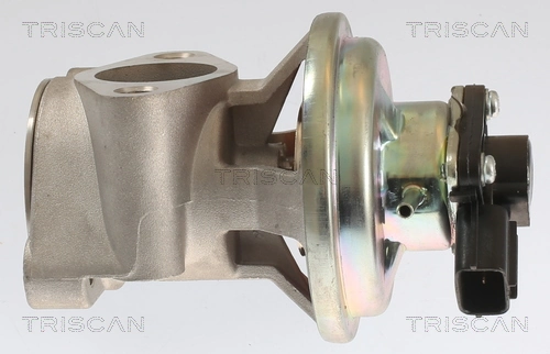 Vanne EGR TRISCAN 8813 42003