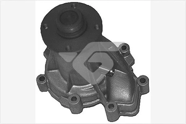 Pompe à eau, refroidissement du moteur HUTCHINSON WP202