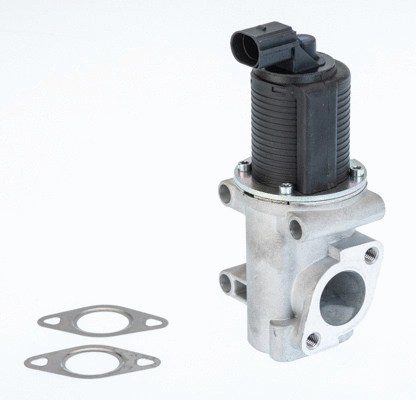 Vanne EGR BorgWarner 710774D/1