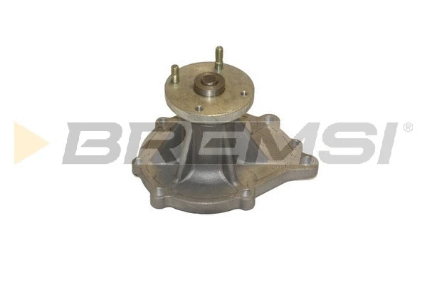 Pompe à eau, refroidissement du moteur BREMSI WP0047