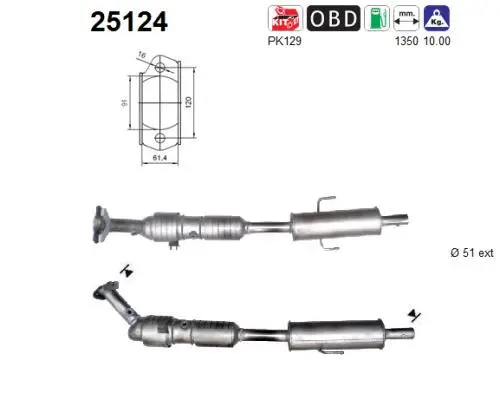 Catalyseur AS 25124