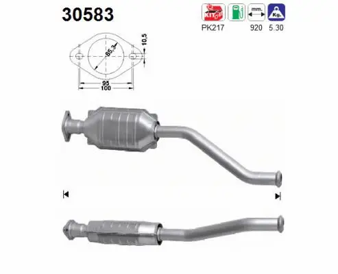 Catalyseur AS 30583