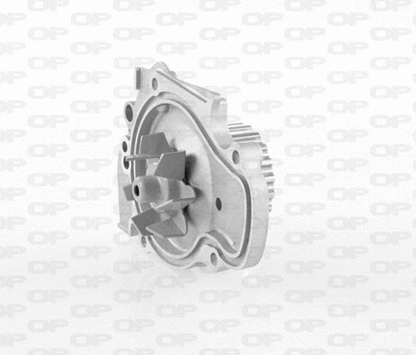 Pompe à eau, refroidissement du moteur OPEN PARTS WAP8436.00